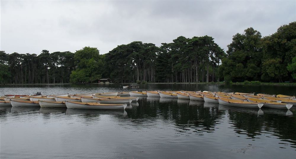 boulogne sur mer prostituée