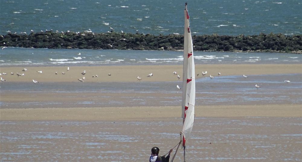 Promenade Dans Le Centre De Ouistreham