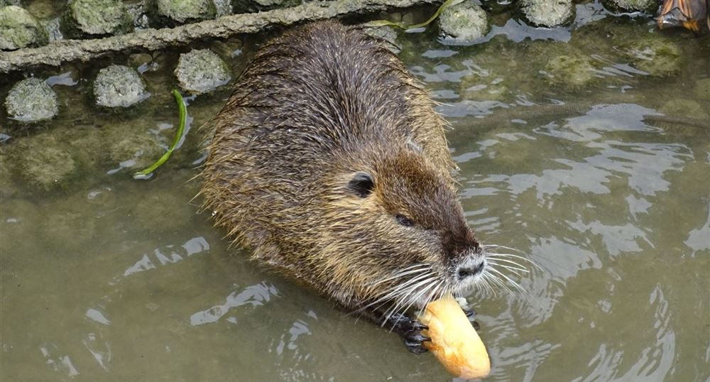 Une Promenade à Lisle Adam